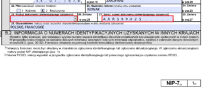 NIP number: Other tax identification numbers